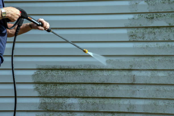 Best Local Pressure Washing Services  in Lakeview, OH