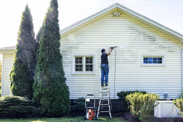 Best Roof Power Washing Services  in Lakeview, OH