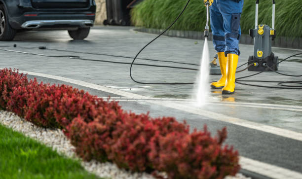 Best Roof Pressure Washing  in Lakeview, OH