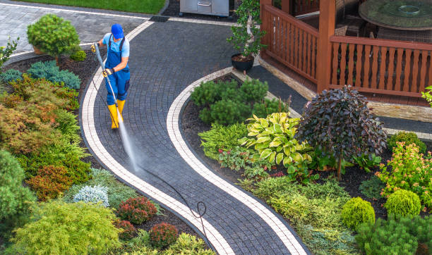 Best Best Pressure Washing Companies  in Lakeview, OH